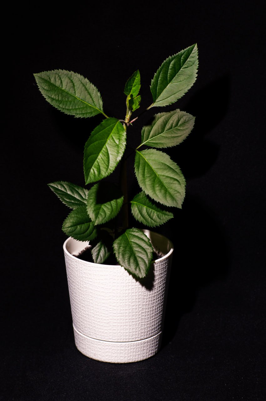 Фото 3