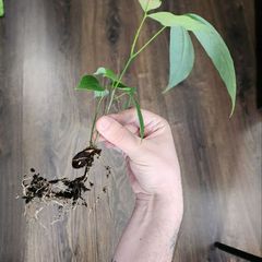 Фото 3