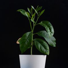 Фото 3
