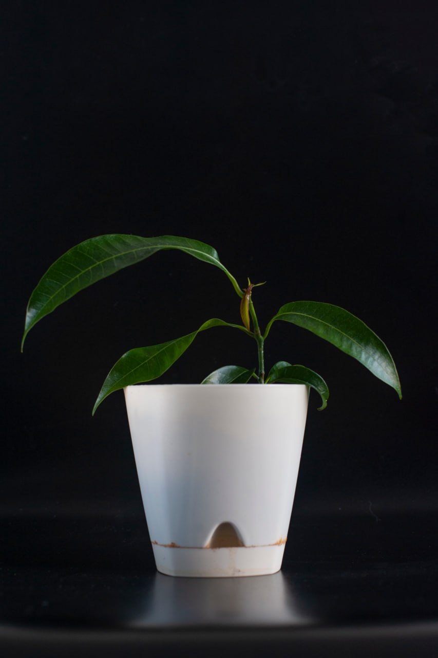 Фото 4