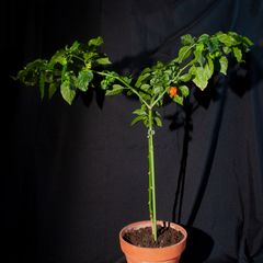 Фото 3