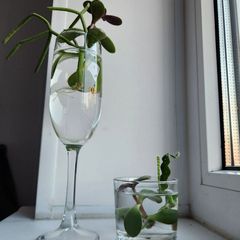 Фото 6