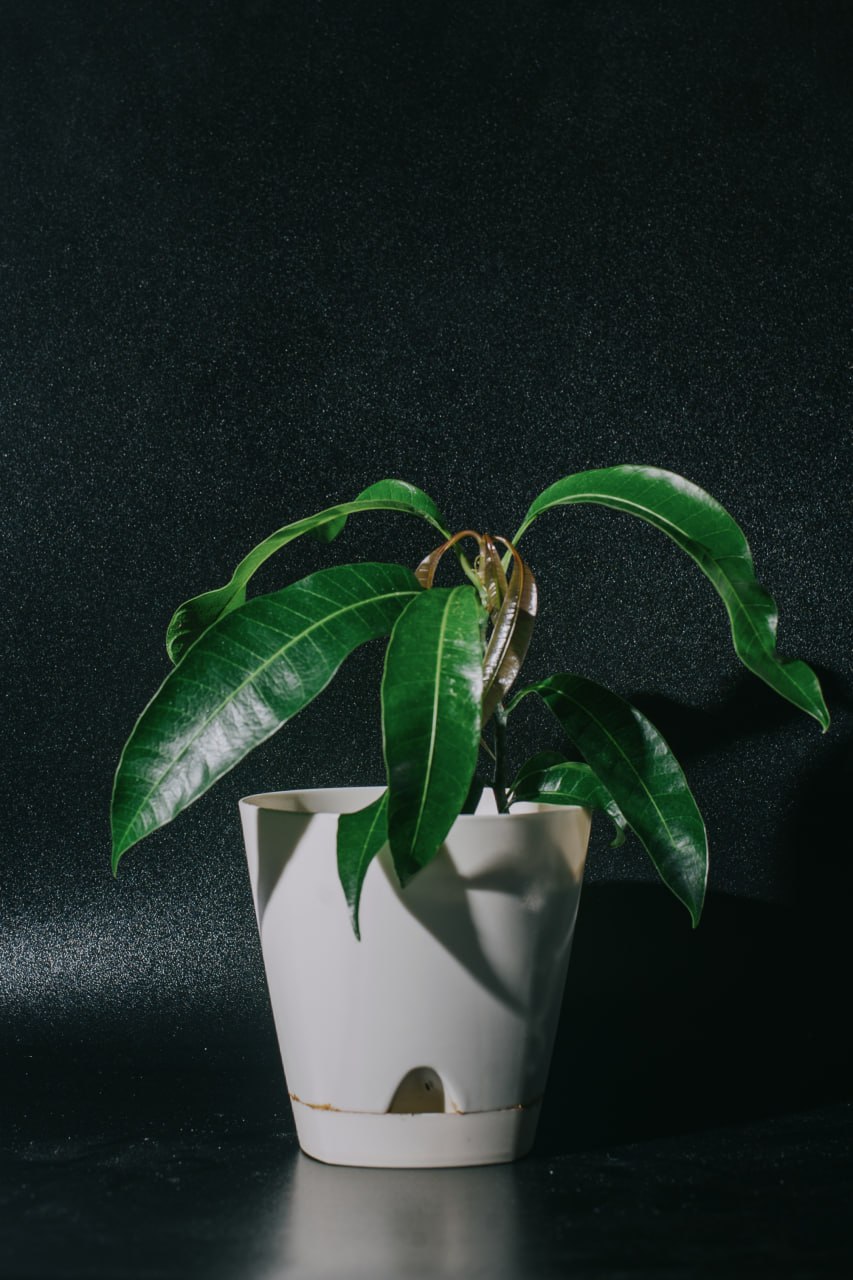 Фото 2