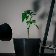 Фото 4