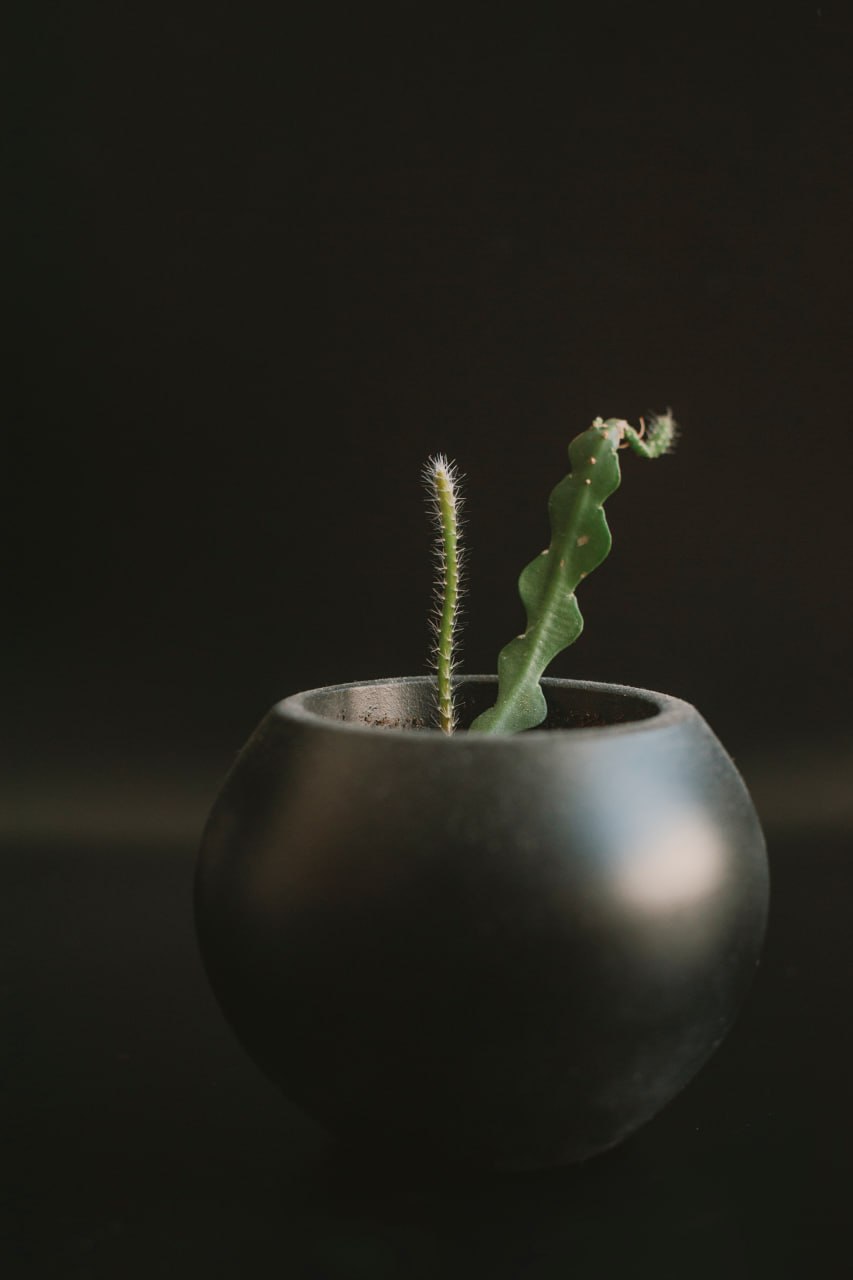 Фото 3