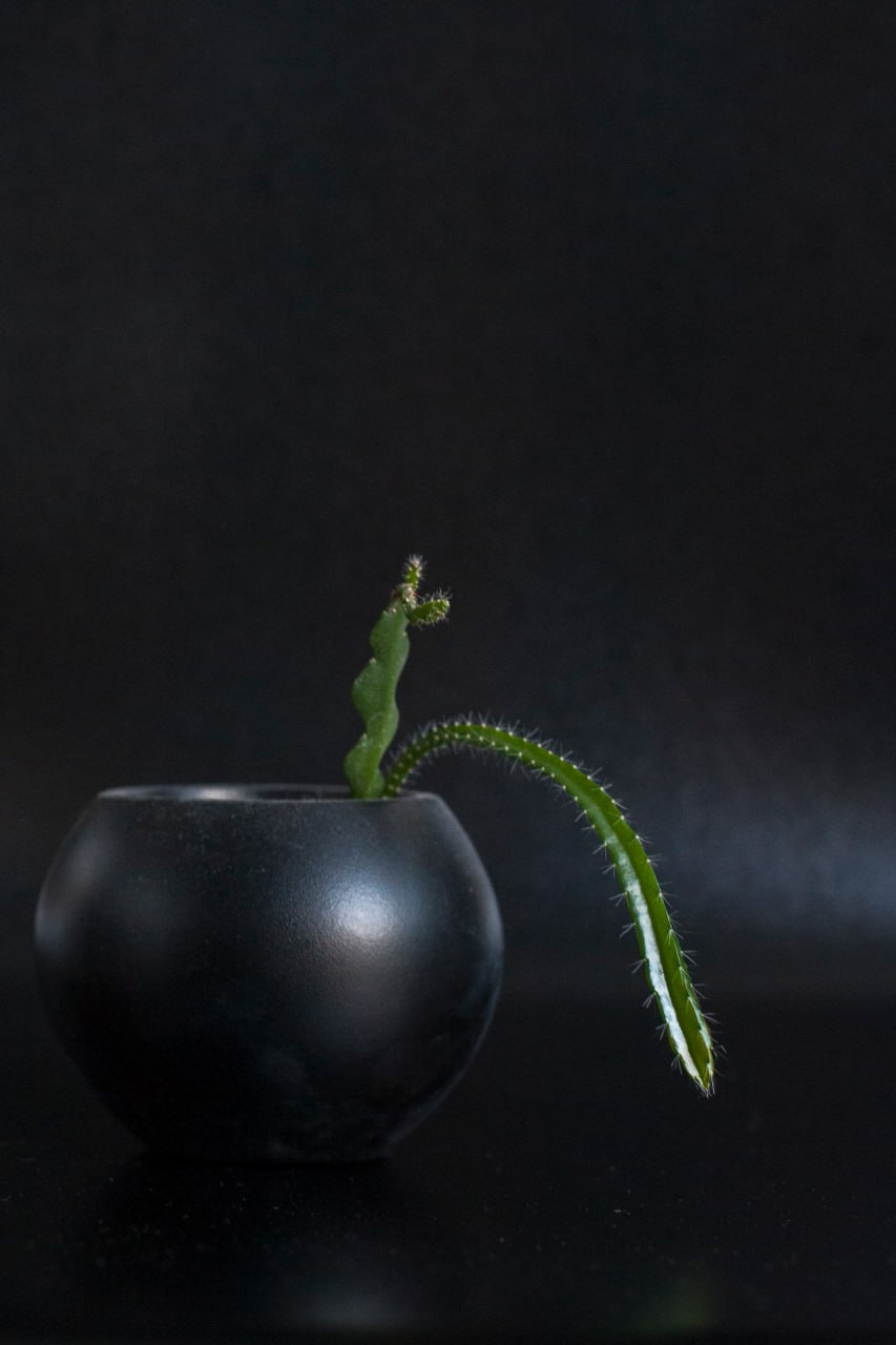 Фото 3