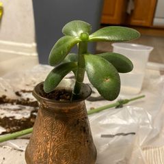 Фото 6