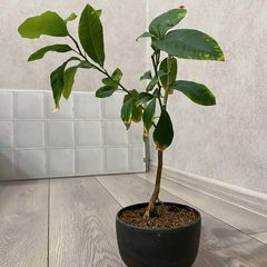 Фото 3
