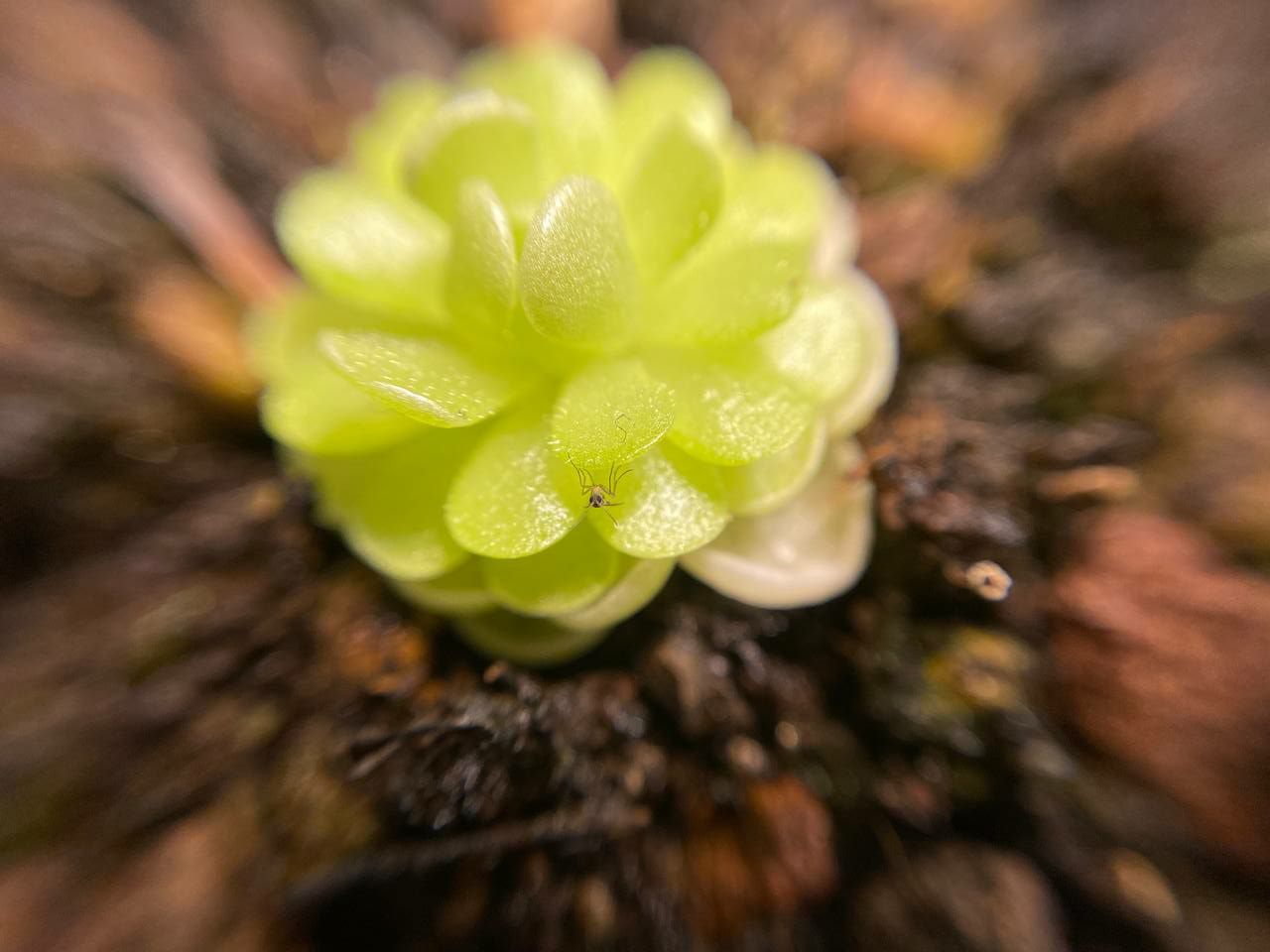 Фото 1