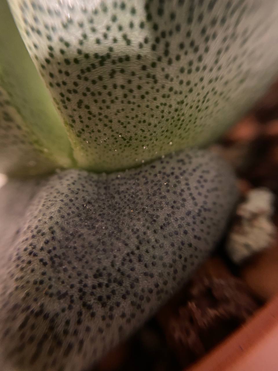 Фото 1