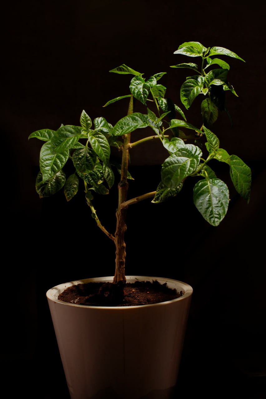 Фото 2