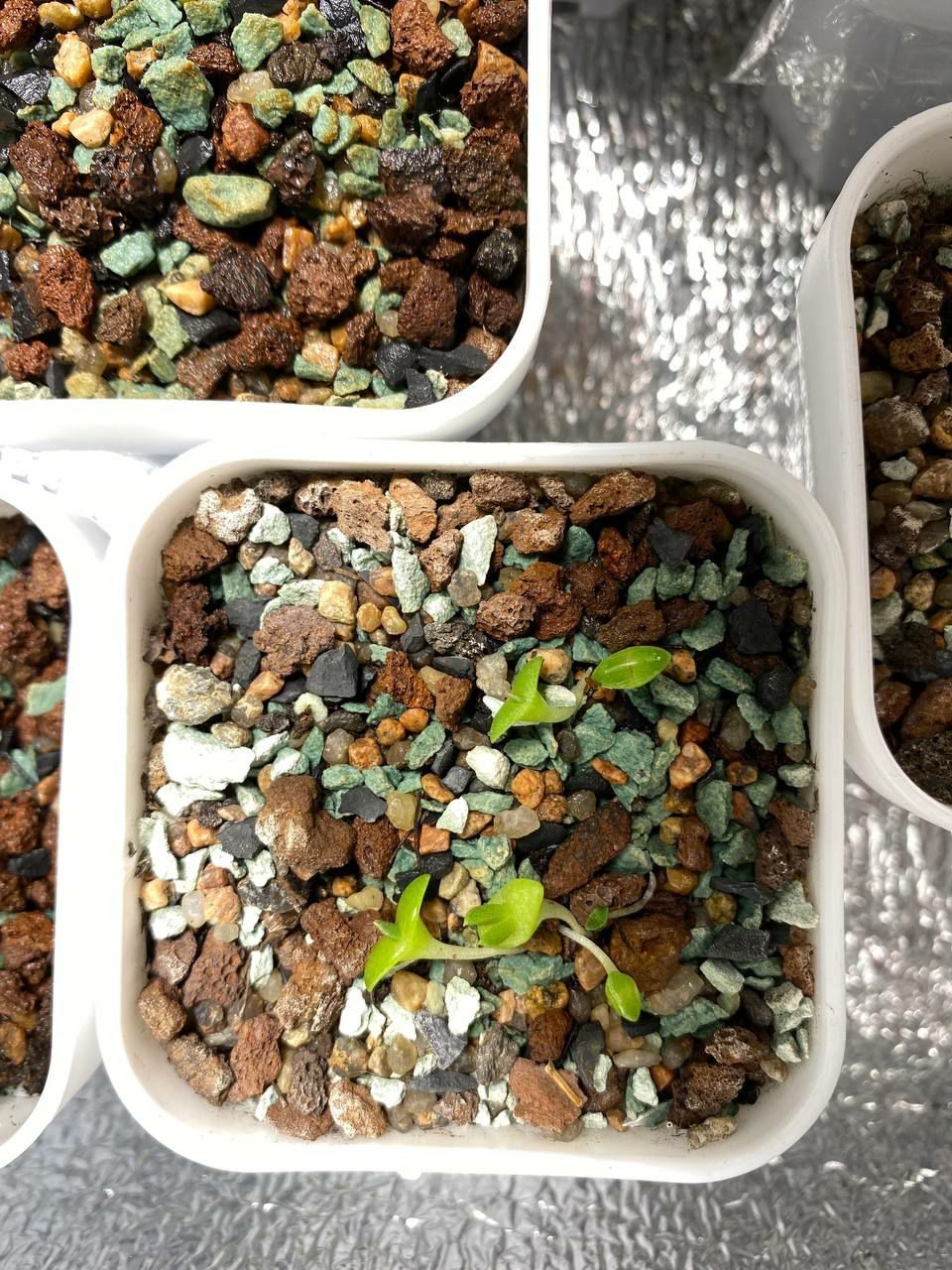 Фото 4