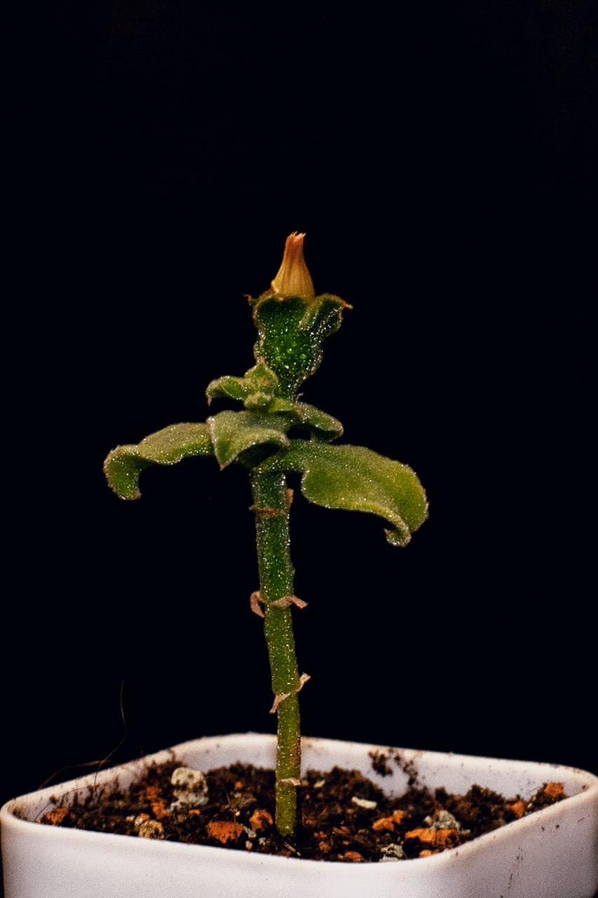 Фото 1