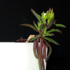 Фото 2