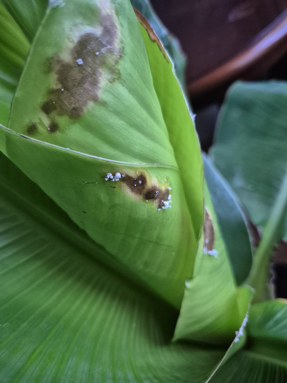 Фото 1