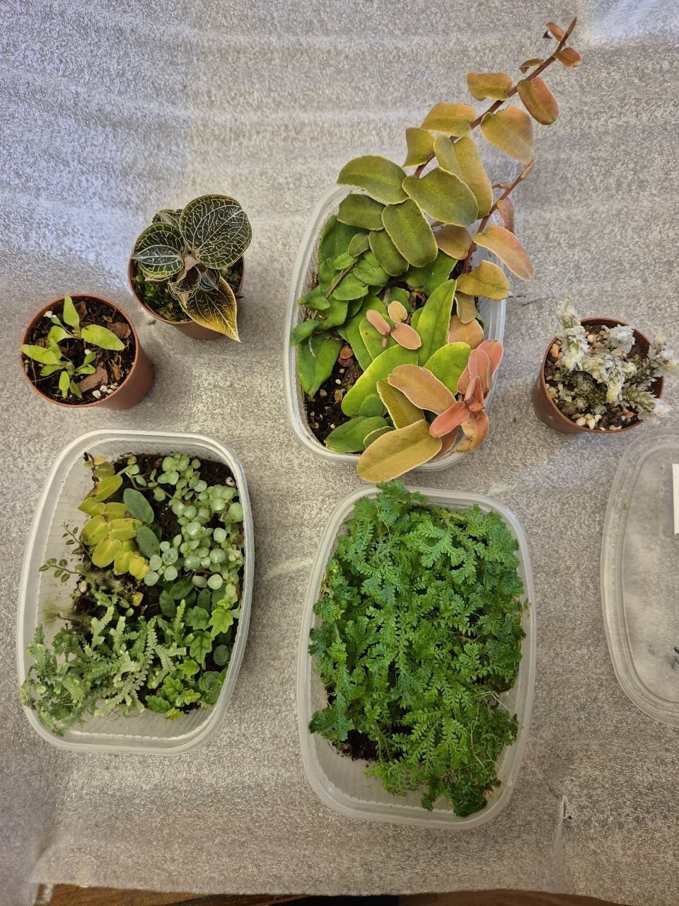 Фото 2
